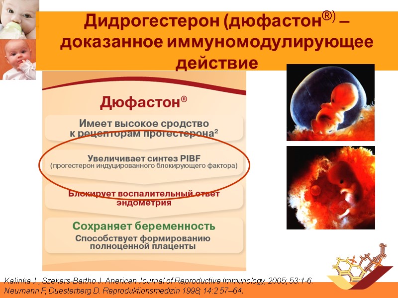 Дидрогестерон (дюфастон®) – доказанное иммуномодулирующее действие  Kalinka J., Szekers-Bartho J. Anerican Journal of